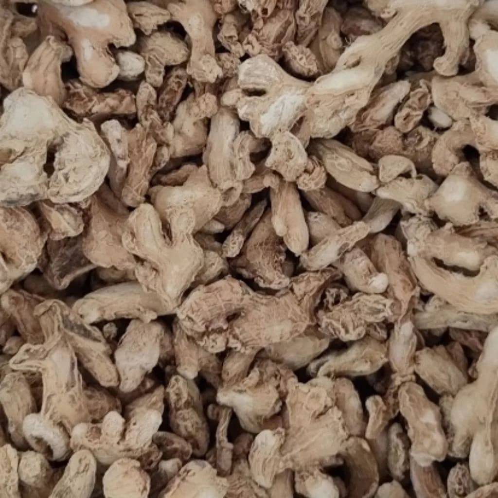 Ginger