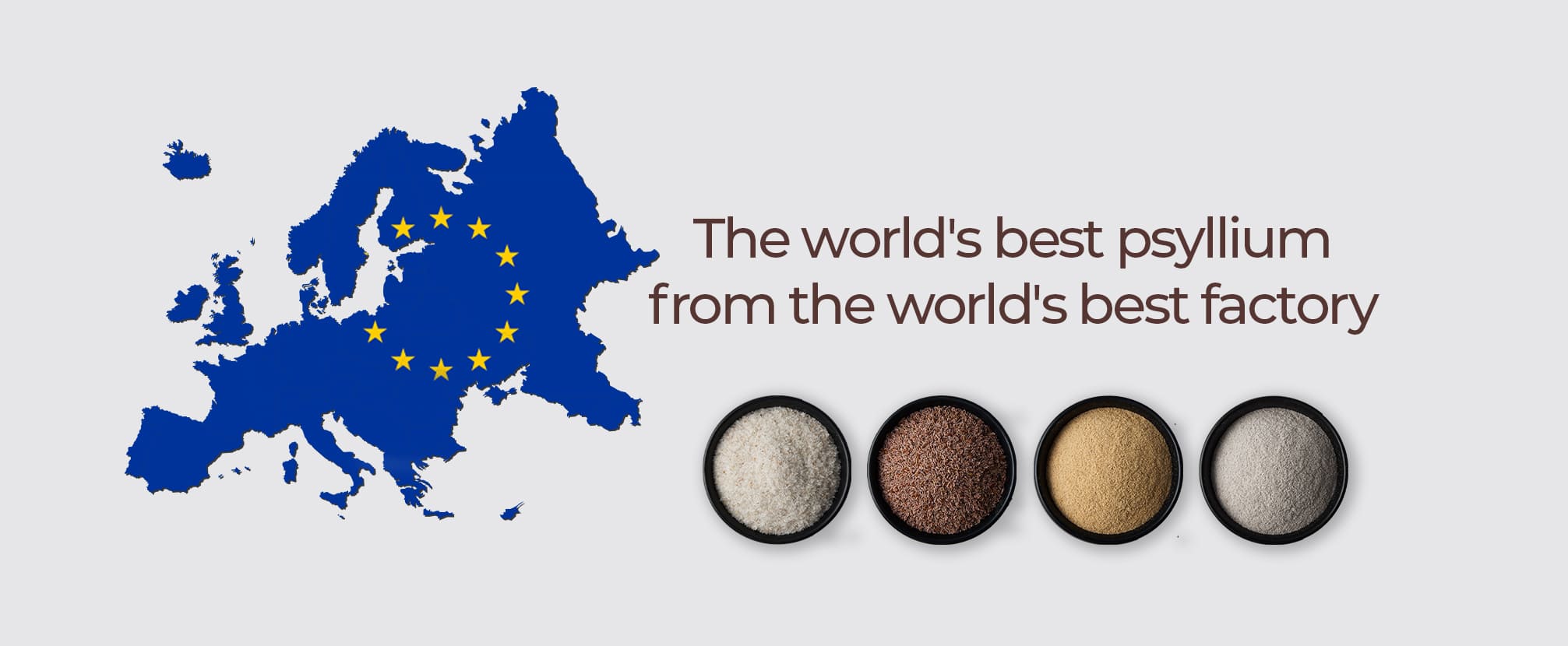 Psyllium seed suppliers Akash Agro Ind. Europe,Italy