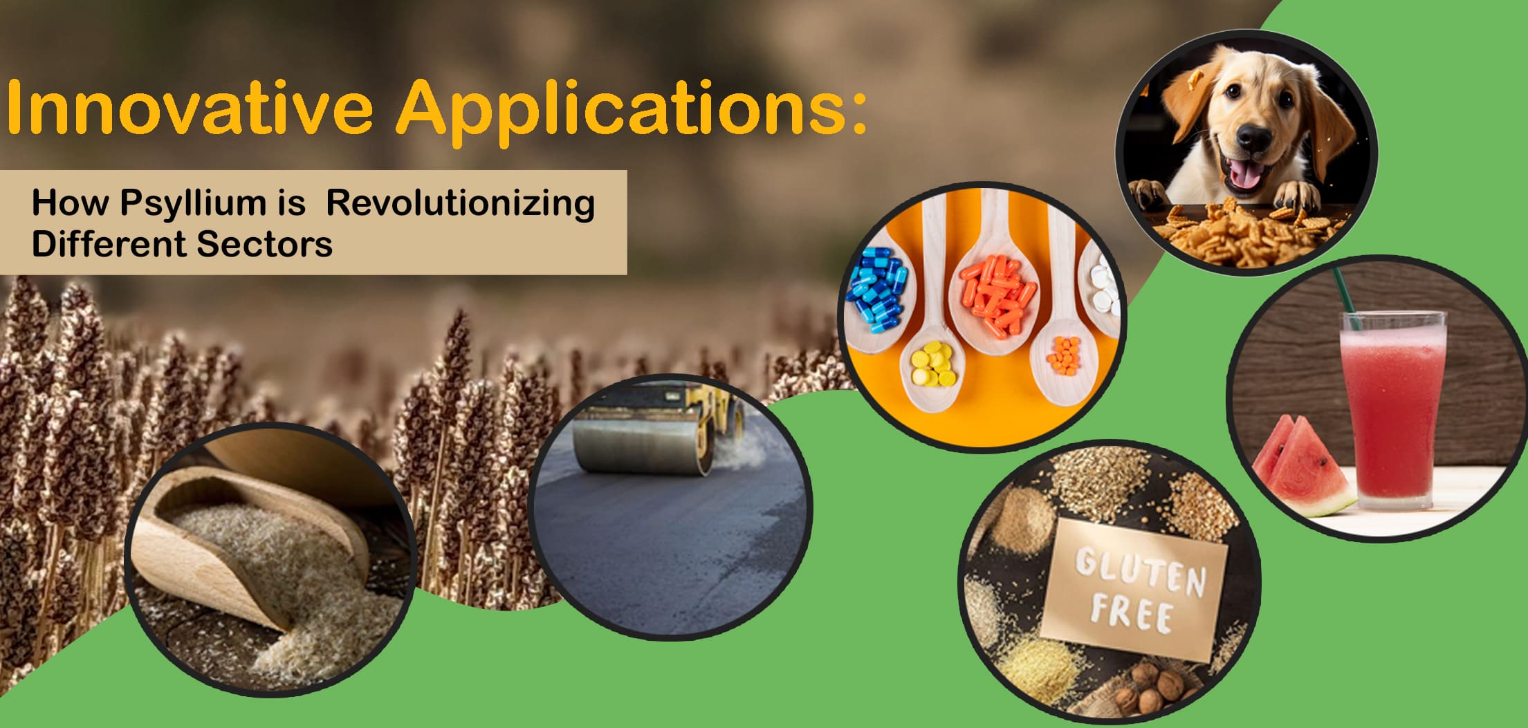  Innovative Applications: How Psyllium is Revolutionizing Different Sectors
