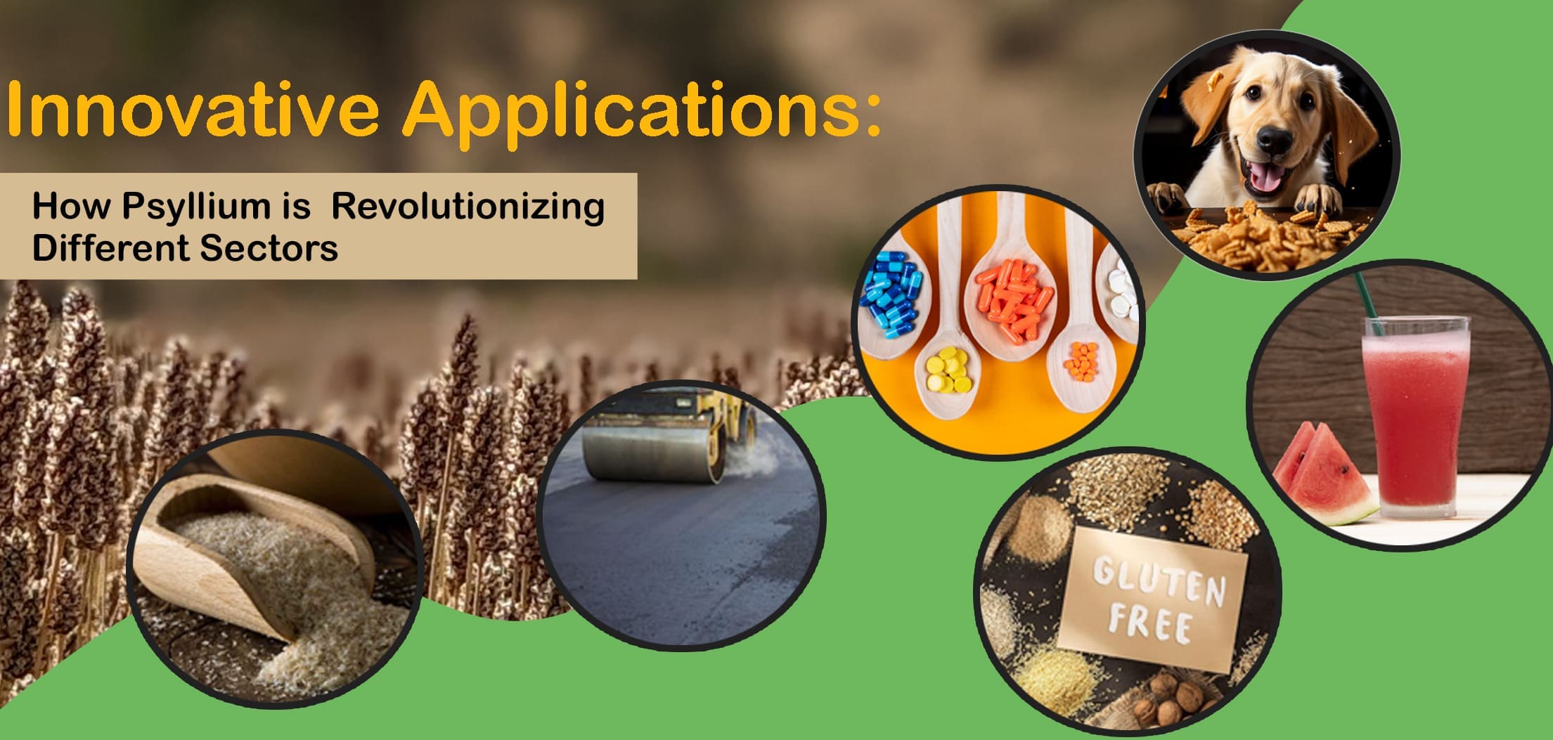 Innovative Applications: How Psyllium is Revolutionizing Different Sectors