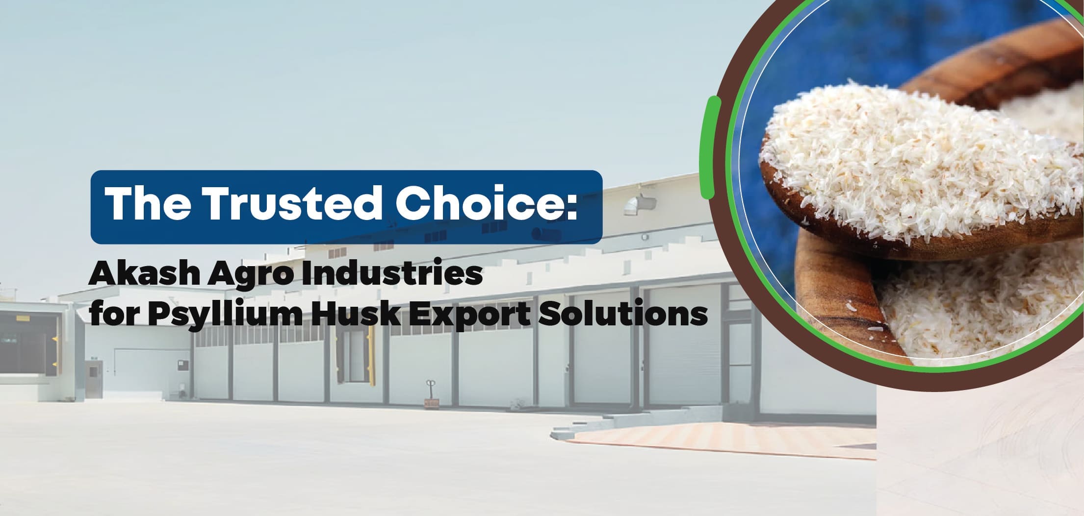 Leading the Way in Psyllium Husk Export Solutions