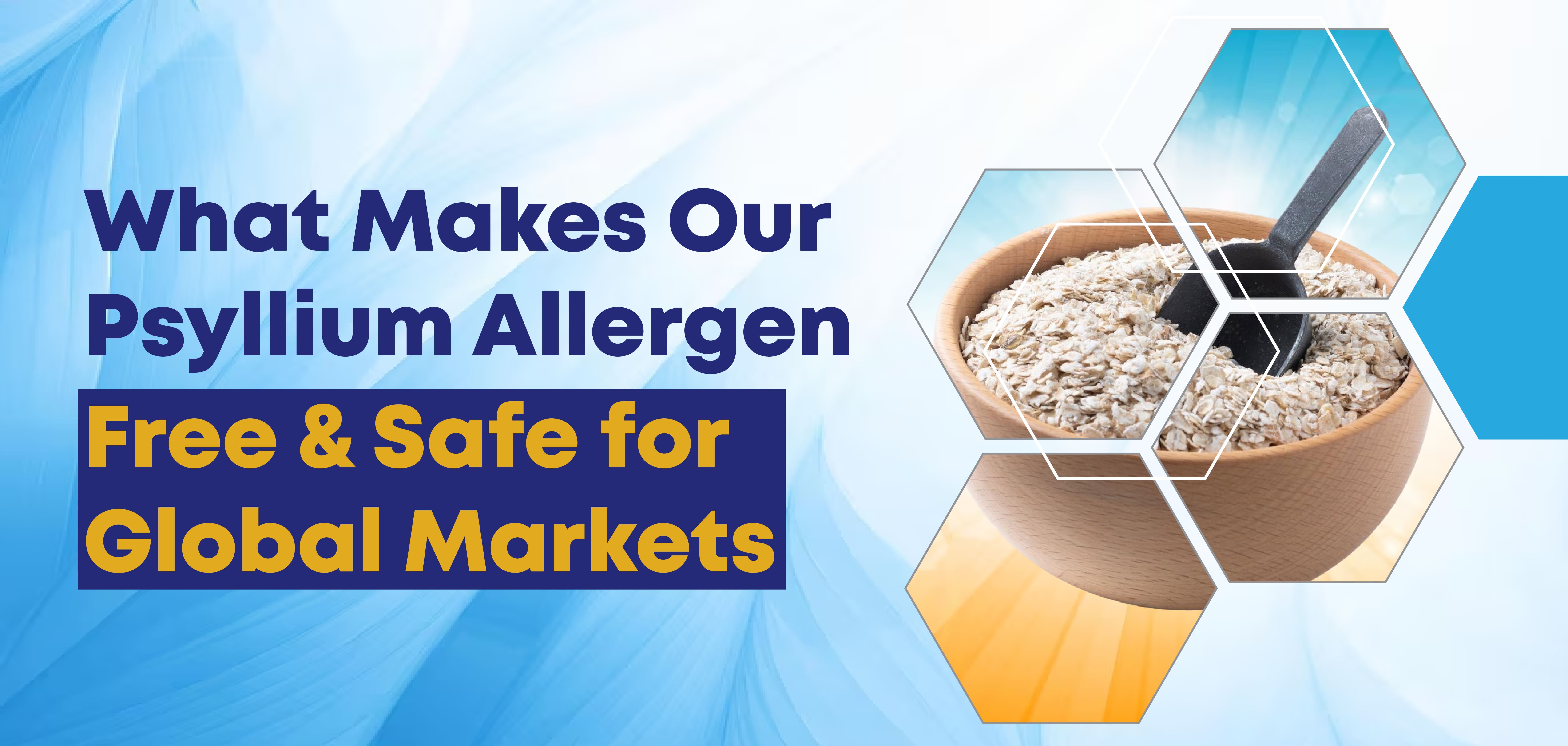 What Makes Our Psyllium Allergen-Free and Safe for Global Markets?